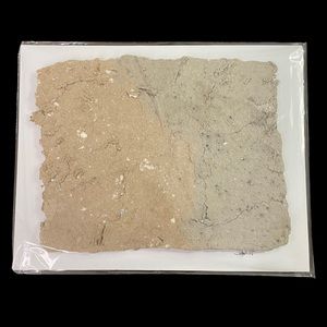 pressed paper wall art
